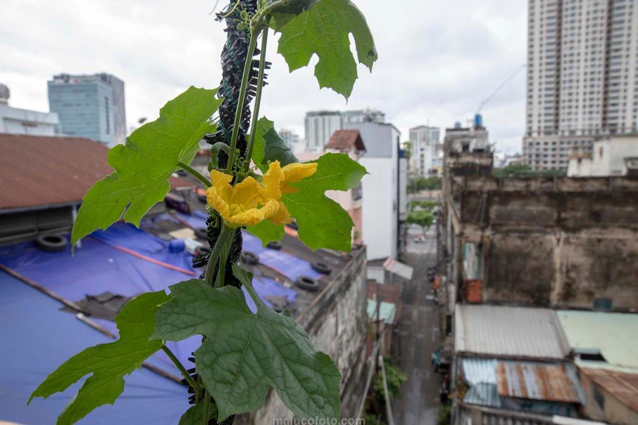 Saigon Central Hostel Ho Şi Min Dış mekan fotoğraf
